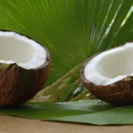 2-3 frutos de coco o coco en diferentes etapas de maduración