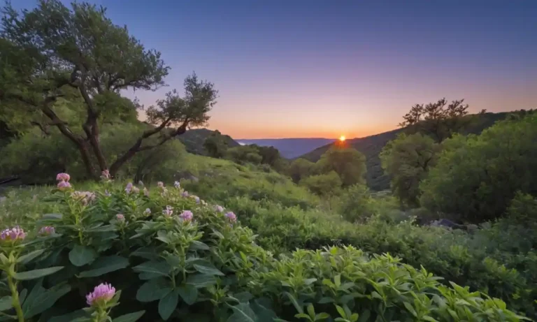 Un paisaje natural sereno