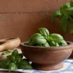 jardín italiano del siglo 18