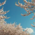Un día soleado con nubes
