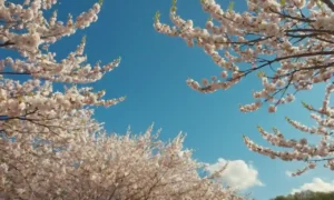 Un día soleado con nubes