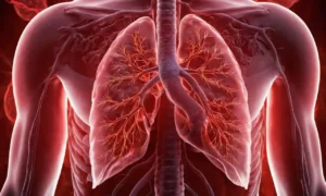 ilustración médica 3D de los pulmones humanos con vasos sanguíneos