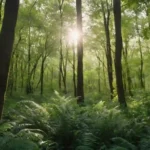 Un bosque exuberante con árboles Espelta en primer plano