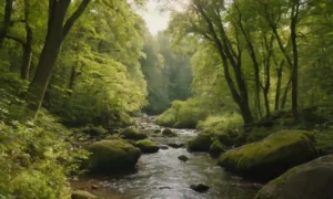 Un ecosistema forestal con diversidad de flora y fauna