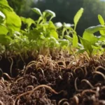 Suelos enriquecidos con materia orgánica