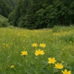 Un grupo de flores amarillas o doradas brillantes con tallos y hojas rodeadas de exuberante follaje verde