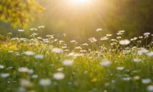 Flores silvestres que florecen en medio de una vegetación de fondo borrosa