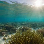 ilustración 3D muestra escuelas de pequeño zooplancton nadando en un océano de turquesa iluminado por el sol rodeado de algas y arrecifes de coral con peces atrevidos a través