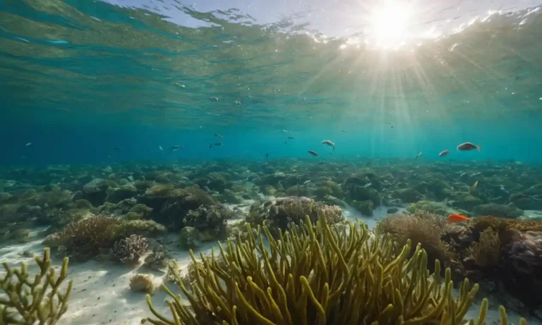 ilustración 3D muestra escuelas de pequeño zooplancton nadando en un océano de turquesa iluminado por el sol rodeado de algas y arrecifes de coral con peces atrevidos a través
