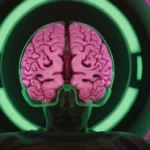 Corte de cerebro 3D