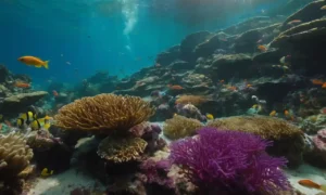 Pescado vibrante nadando cerca de un arrecife de coral