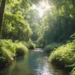 Un exuberante bosque verde con árboles torrentes