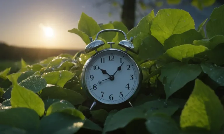 ciclo de 24 horas