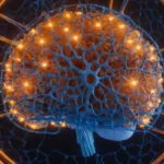 3D rendering of a brain with highlighted neurons