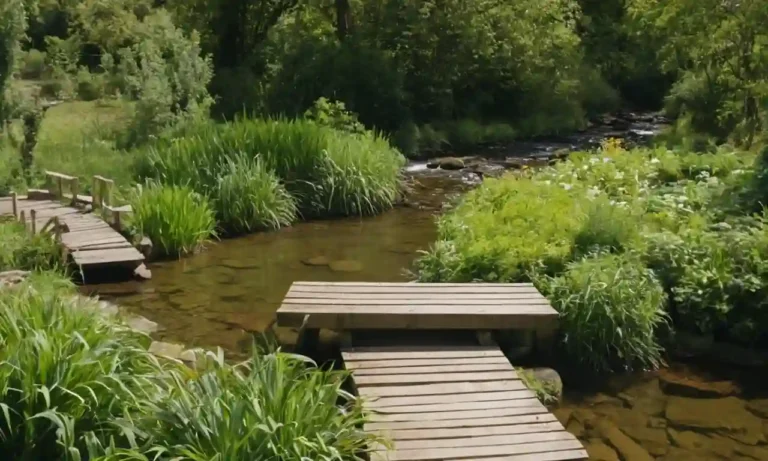 Una tranquila escena fluvial con agua corriente